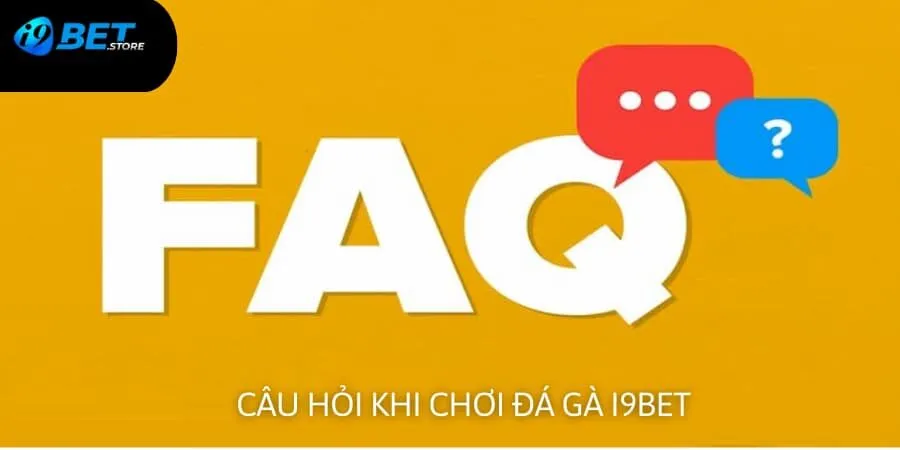 FAQs - những câu hỏi thường gặp và lời giải đáp từ nhà cái
