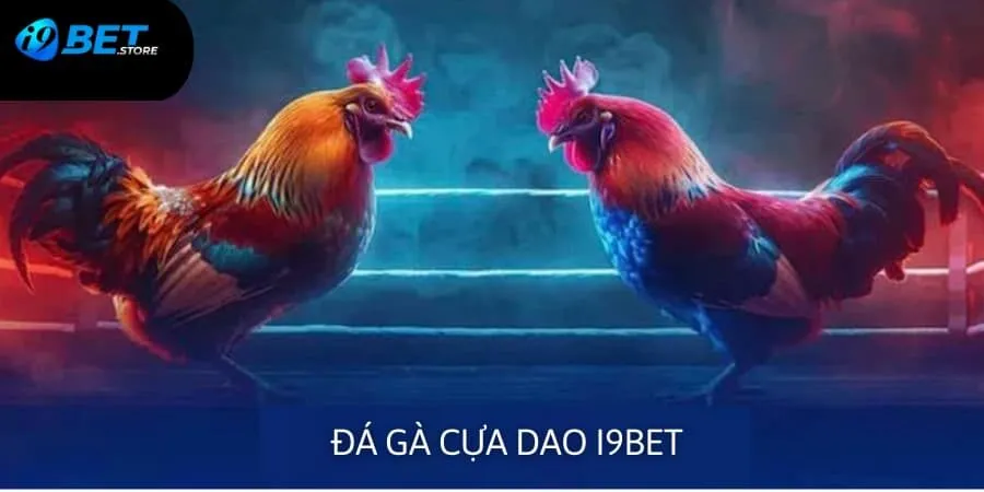 Chọi gà cựa dao là một hình thức cá cược cực kỳ hấp dẫn tại I9BET