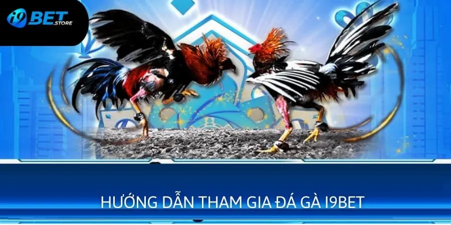 Tham gia đặt cược các hình thức chọi kê cực kỳ đơn giản chỉ với 4 bước