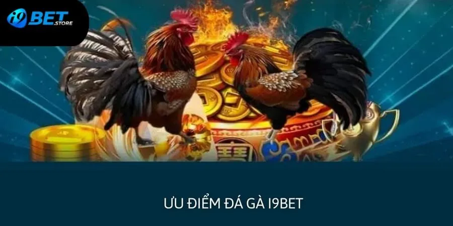 Những thế mạnh mà sảnh chọi gà I9BET đang sở hữu 