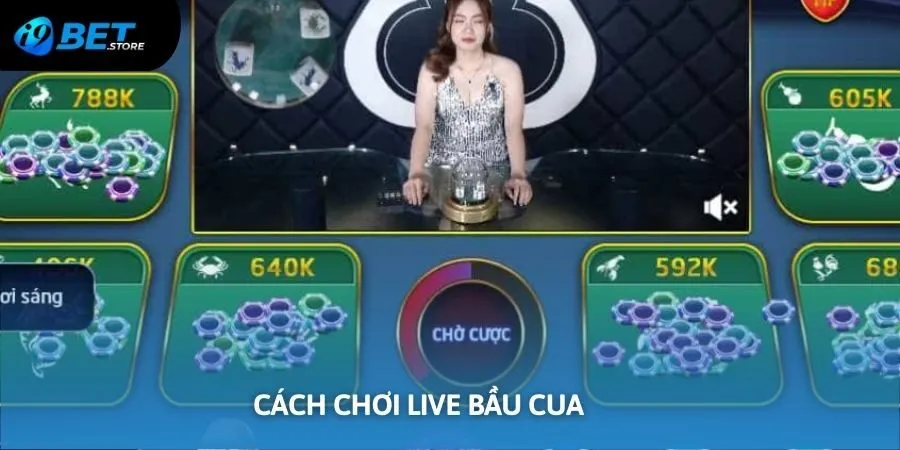 Cách chơi game live bầu cua i9bet chuẩn cho người mới