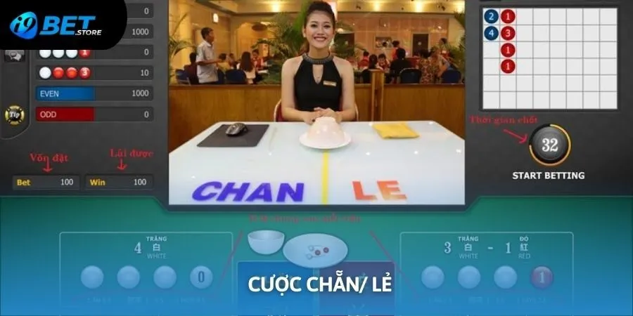 Live xóc đĩa I9BET các cửa cược phổ biến trong năm 2025
