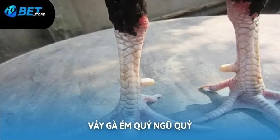 Kê mang vảy ém quý ngũ quỷ