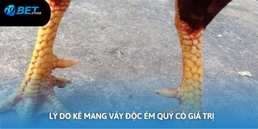 Lý do kê mang vảy ém quý độc có giá cao