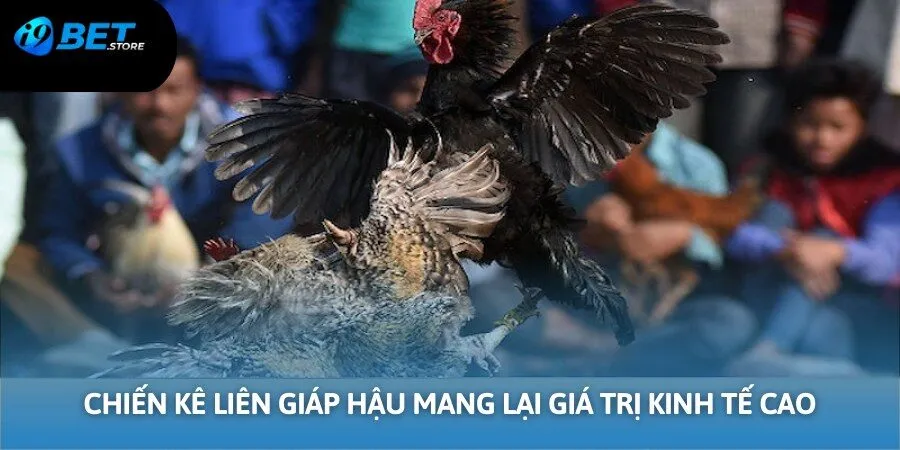 Liên giáp hậu mang lại giá trị kinh tế cao