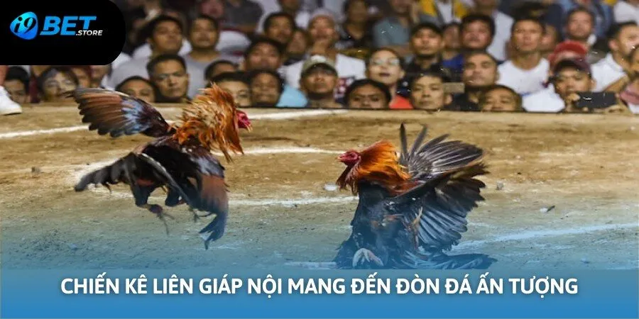 Liên giáp nội mang đến đòn đá ấn tượng